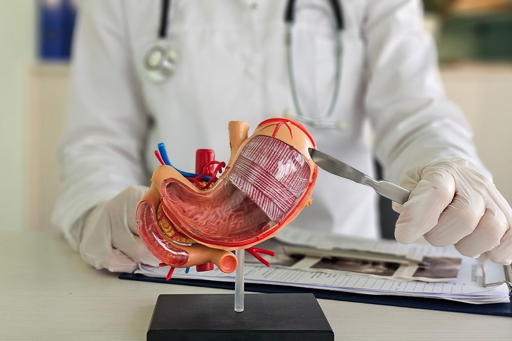 7 - Home - Bariatrics-min